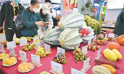 中国(海南)国际热带农产品冬季交易会上,观众参观“世界热带水果之窗”展台展示的热带水果。 新华社记者 郭 程摄
