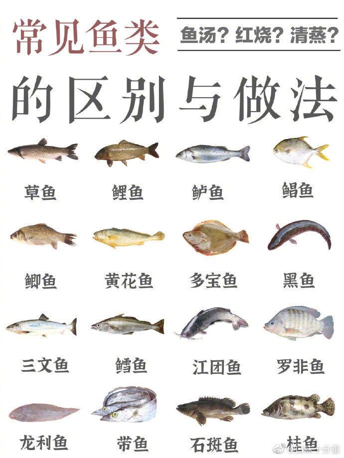 保镖1993意大利电影 人猿泰山男女主的哪位大神知道?感谢一求经典