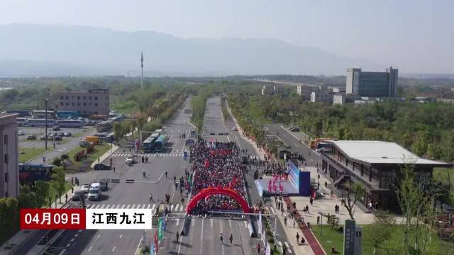 解鎖體育賽事背后的精彩故事