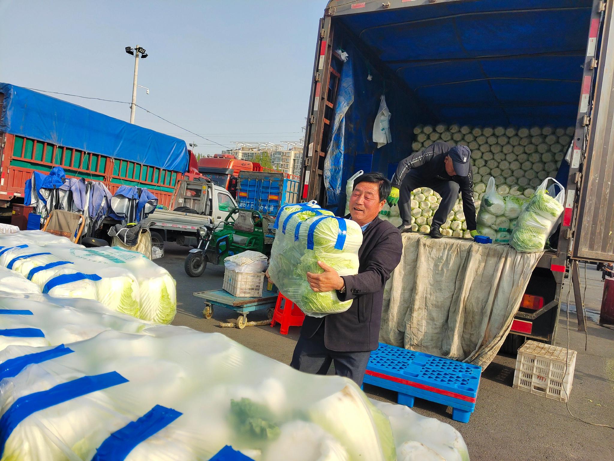 探访新发地:这款西红柿早早订光,大棚大白菜上市……