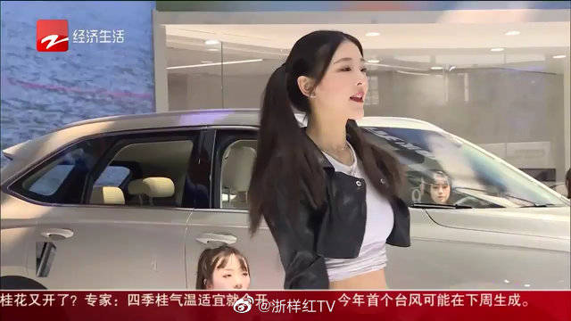 杭州车展车商比消费者人多