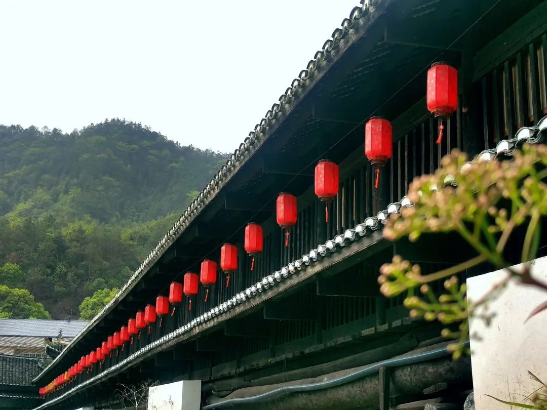 欣赏 | “助力茶乡向振兴·新闻战线安化行”手机摄影大赛获奖作品撷选