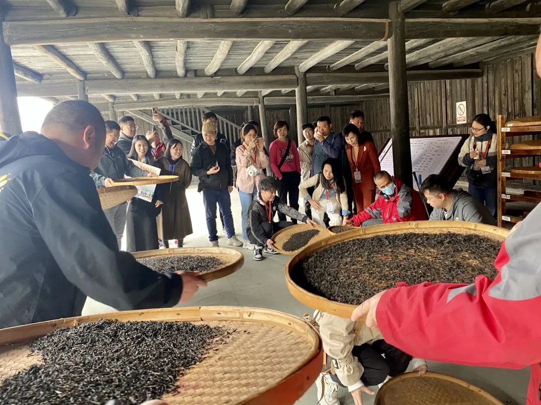 欣赏 | “助力茶乡向振兴·新闻战线安化行”手机摄影大赛获奖作品撷选
