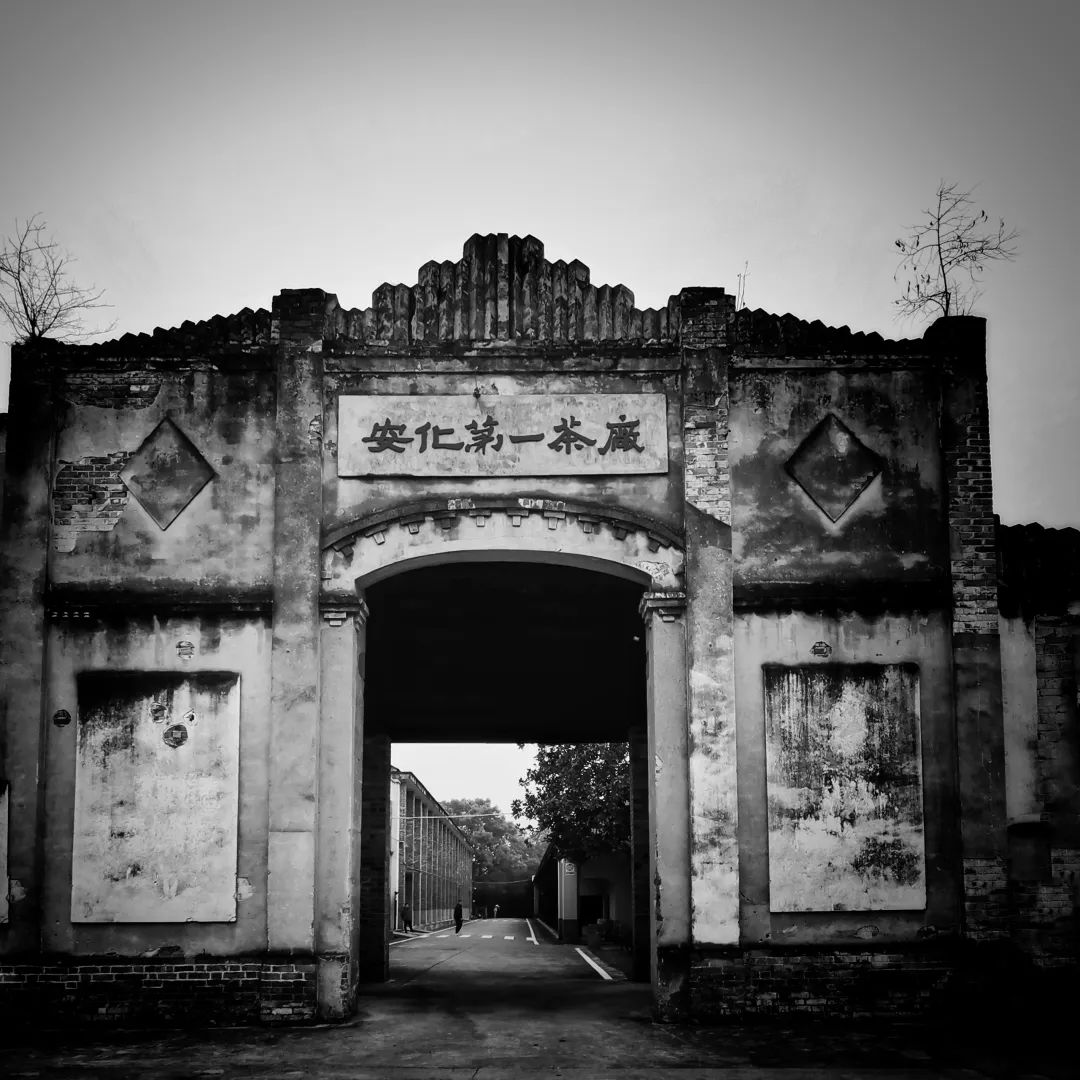欣赏 | “助力茶乡向振兴·新闻战线安化行”手机摄影大赛获奖作品撷选