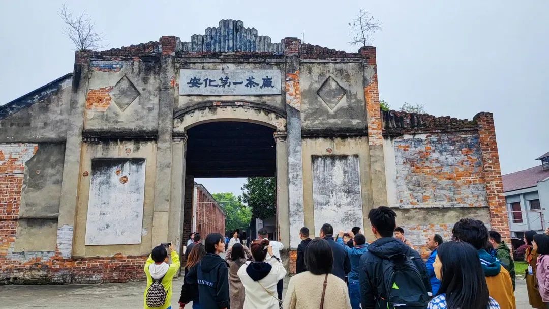 欣赏 | “助力茶乡向振兴·新闻战线安化行”手机摄影大赛获奖作品撷选