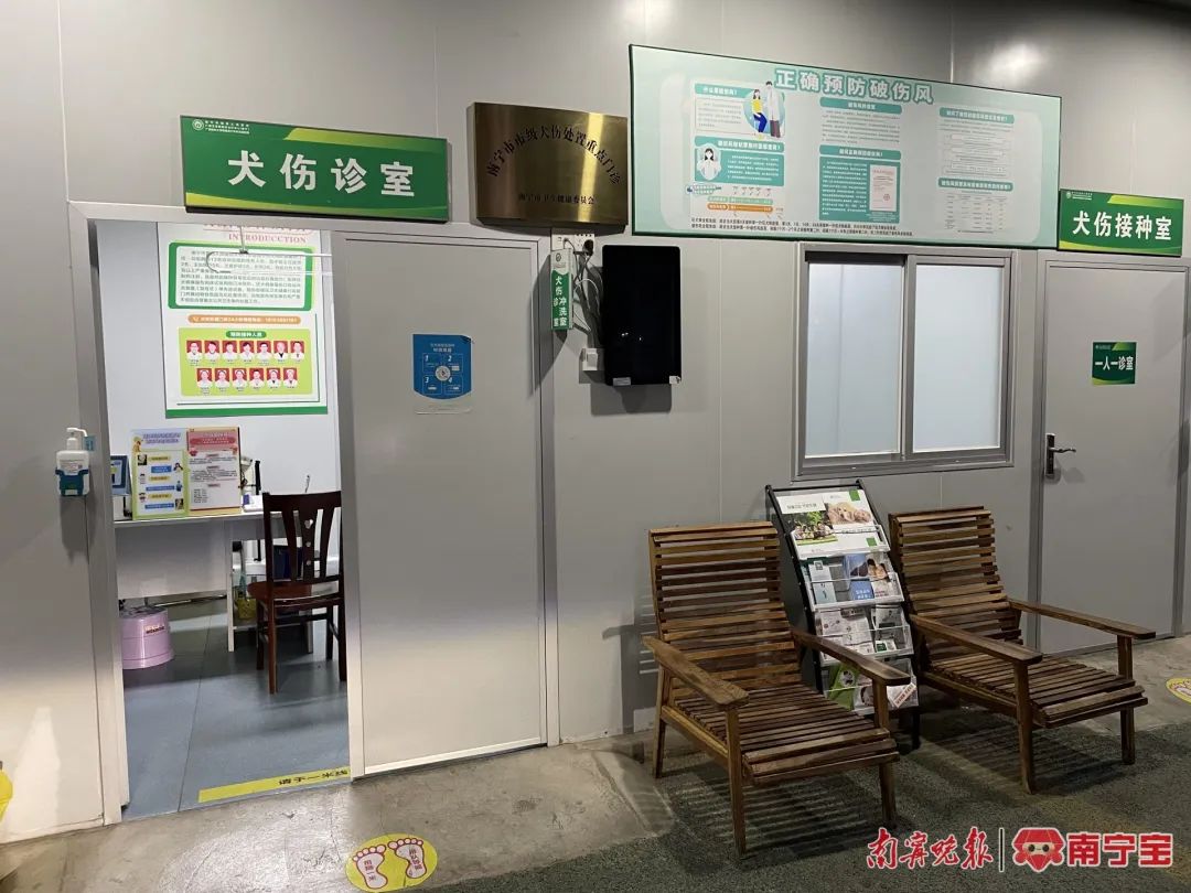 小孩子被家中的狗发痒皮了《小孩子被家狗抓了银背藤了咋办》