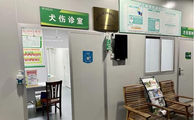 被狗狗咬过的小孩相片六本《被狗狗咬过的小孩会好不好》