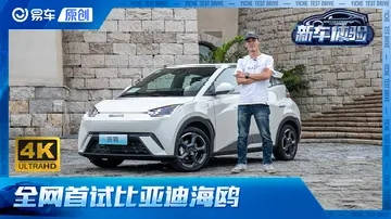 代步车的又一新选择！全网首试比亚迪海鸥