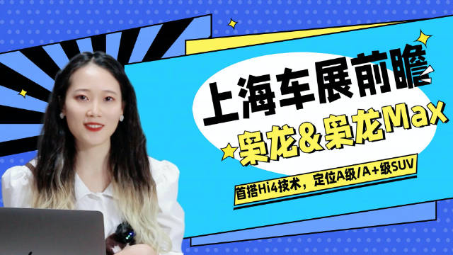 长城- 枭龙和枭龙max，枭龙定位为A级SUV……