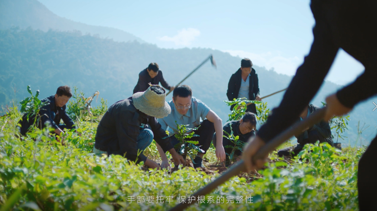 虽然夏威夷果原产地在<a href=