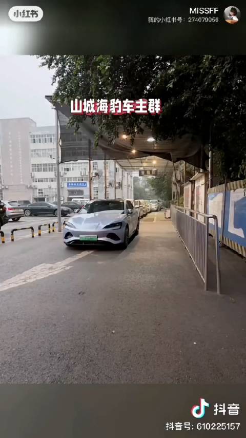 重庆“山城海豹”车友会会长，先后两台海豹都ev受限趴窝……