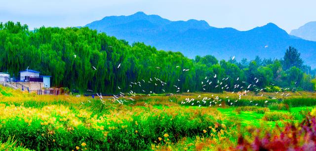 书写生态治理的北京答卷：践行“两山”理念，服务首都发展