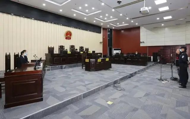 市委书记花上百万整容,判了13年 并处罚金200万元