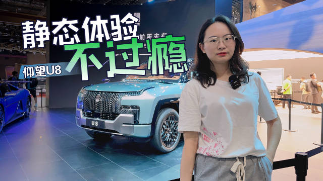 仰望这次独立于比亚迪参展……