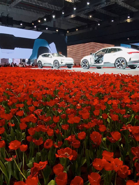 极星挺会玩的，把展台布置成了花海，我有点好奇……