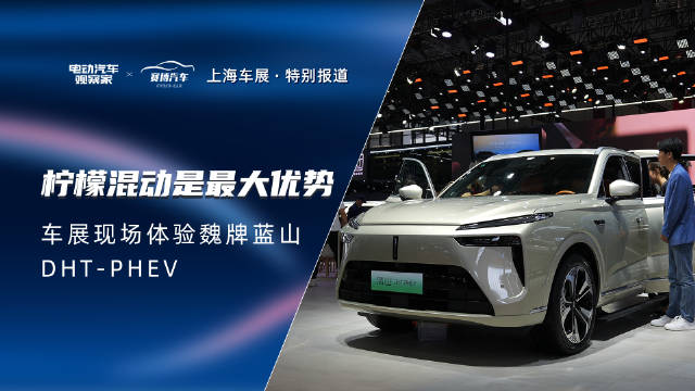 蓝山DHT-PHEV对标理L8，外形有自己的特色，空间大小类似……