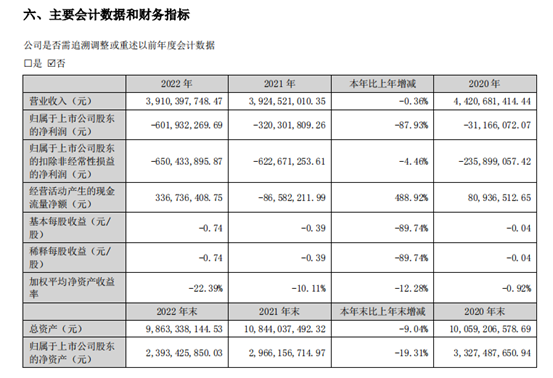 图片来源:青岛双星股份有限公司2022年年度报告