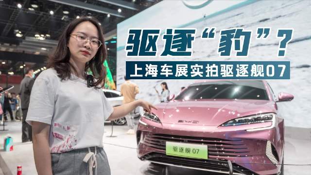 比亚迪的新车节奏很紧，海洋网除了海鸥……