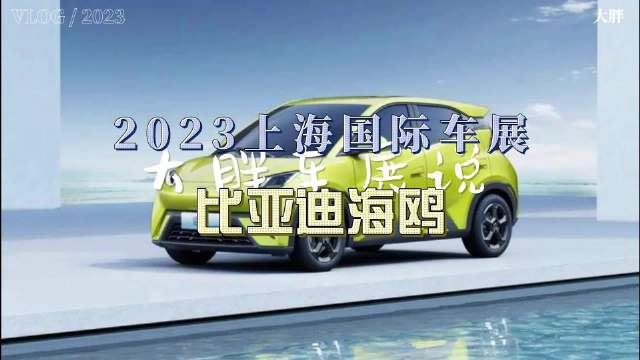 大胖车展说|A0级最受关注车型 来自比亚迪海鸥……