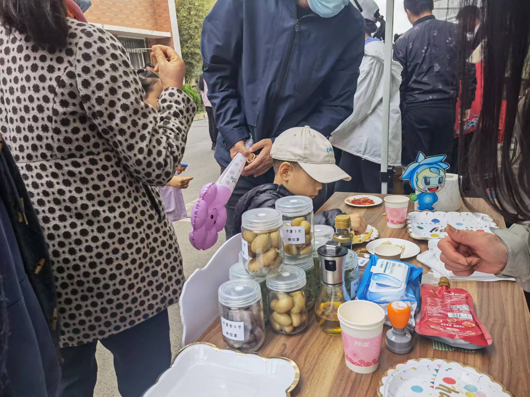 蔬菜花卉所展示的各种马铃薯种子和产品。新京报记者 周怀宗 摄