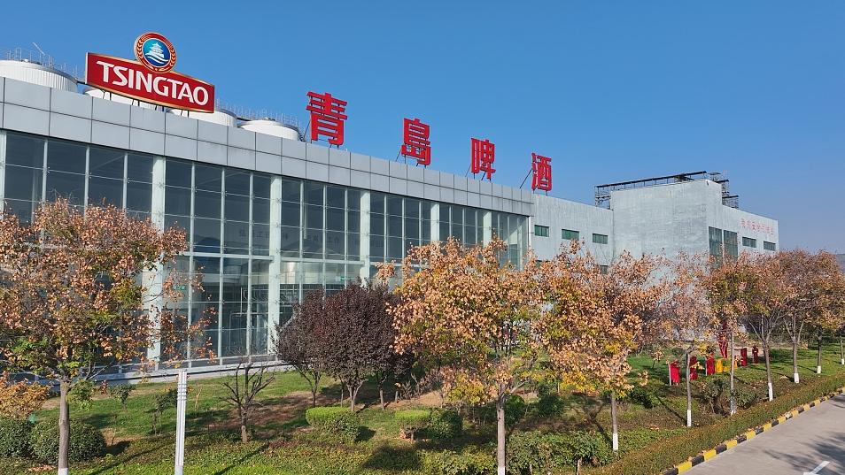 青岛啤酒 视觉中国 资料图