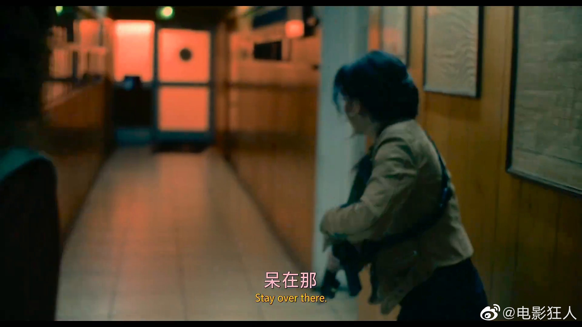 全网快被这只