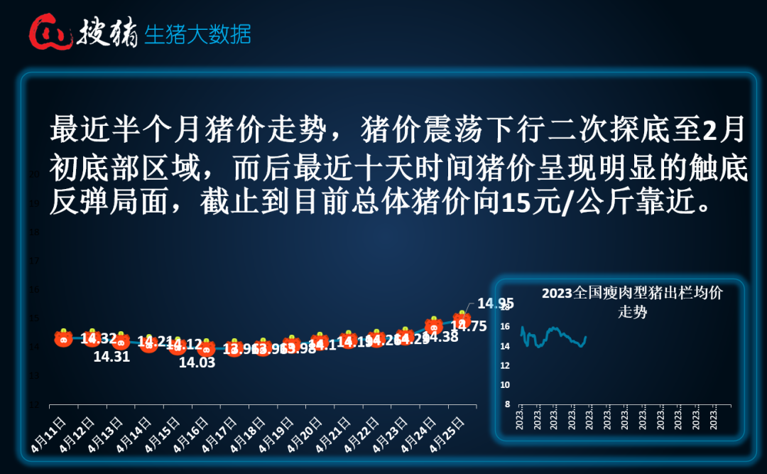 【生猪现货】受供需博弈加剧影响，短时涨势或再现趋缓现象