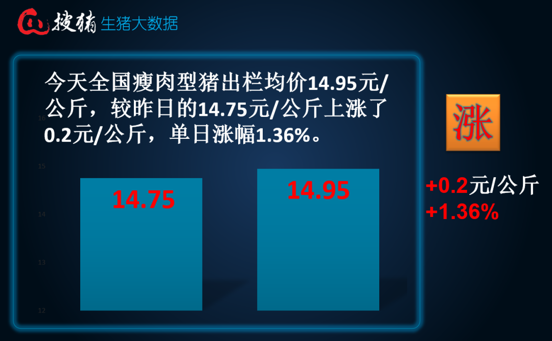 【生猪现货】受供需博弈加剧影响，短时涨势或再现趋缓现象