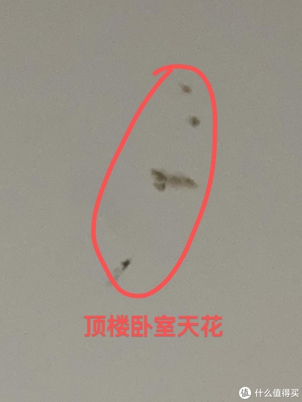 查漏日报:不像屋顶漏水,应是回南天发霉。休闲区蓝鸢梦想 - Www.slyday.coM 查漏日报:不像屋顶漏水,应是回南天发霉。休闲区蓝鸢梦想 - Www.slyday.coM