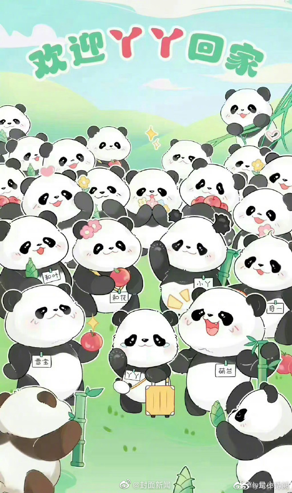 欢迎回家！丫丫回国航线是熊猫趴在飞机上休闲区蓝鸢梦想 - Www.slyday.coM