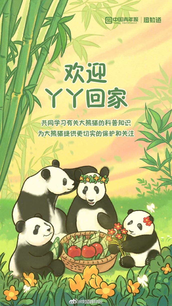 欢迎回家！丫丫回国航线是熊猫趴在飞机上休闲区蓝鸢梦想 - Www.slyday.coM