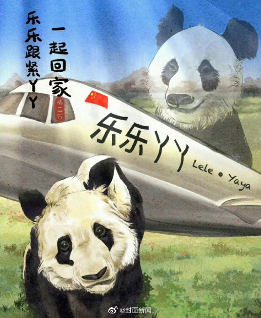 欢迎回家！丫丫回国航线是熊猫趴在飞机上休闲区蓝鸢梦想 - Www.slyday.coM