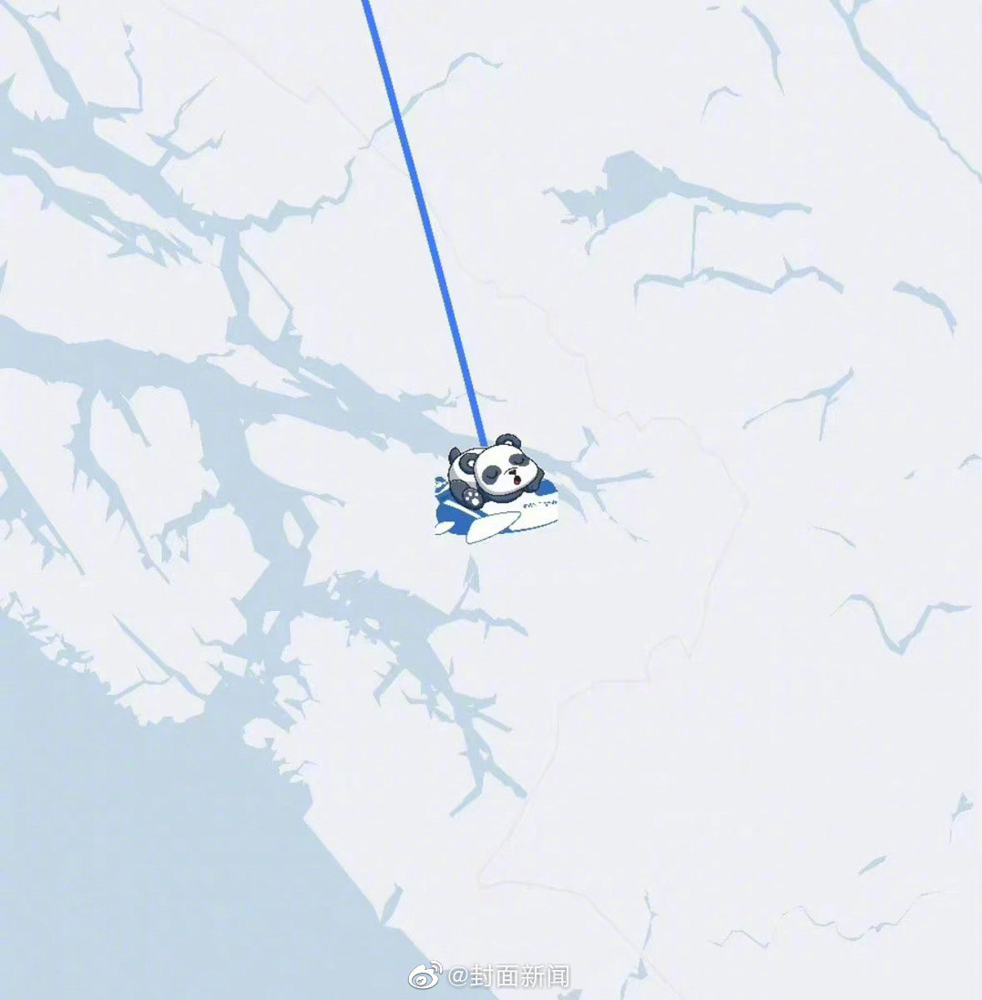 欢迎回家！丫丫回国航线是熊猫趴在飞机上休闲区蓝鸢梦想 - Www.slyday.coM