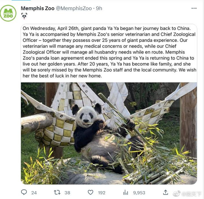 丫丫启程回国 孟菲斯动物园发文送别丫丫休闲区蓝鸢梦想 - Www.slyday.coM