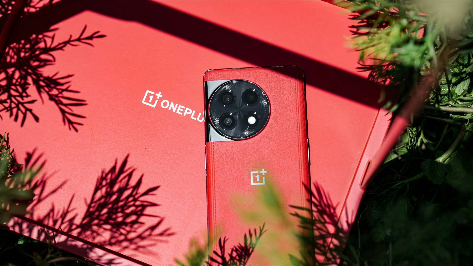 居然 ，N80H58VcI5800Q1518A订制礼盒第一批销售量够火热的呀……