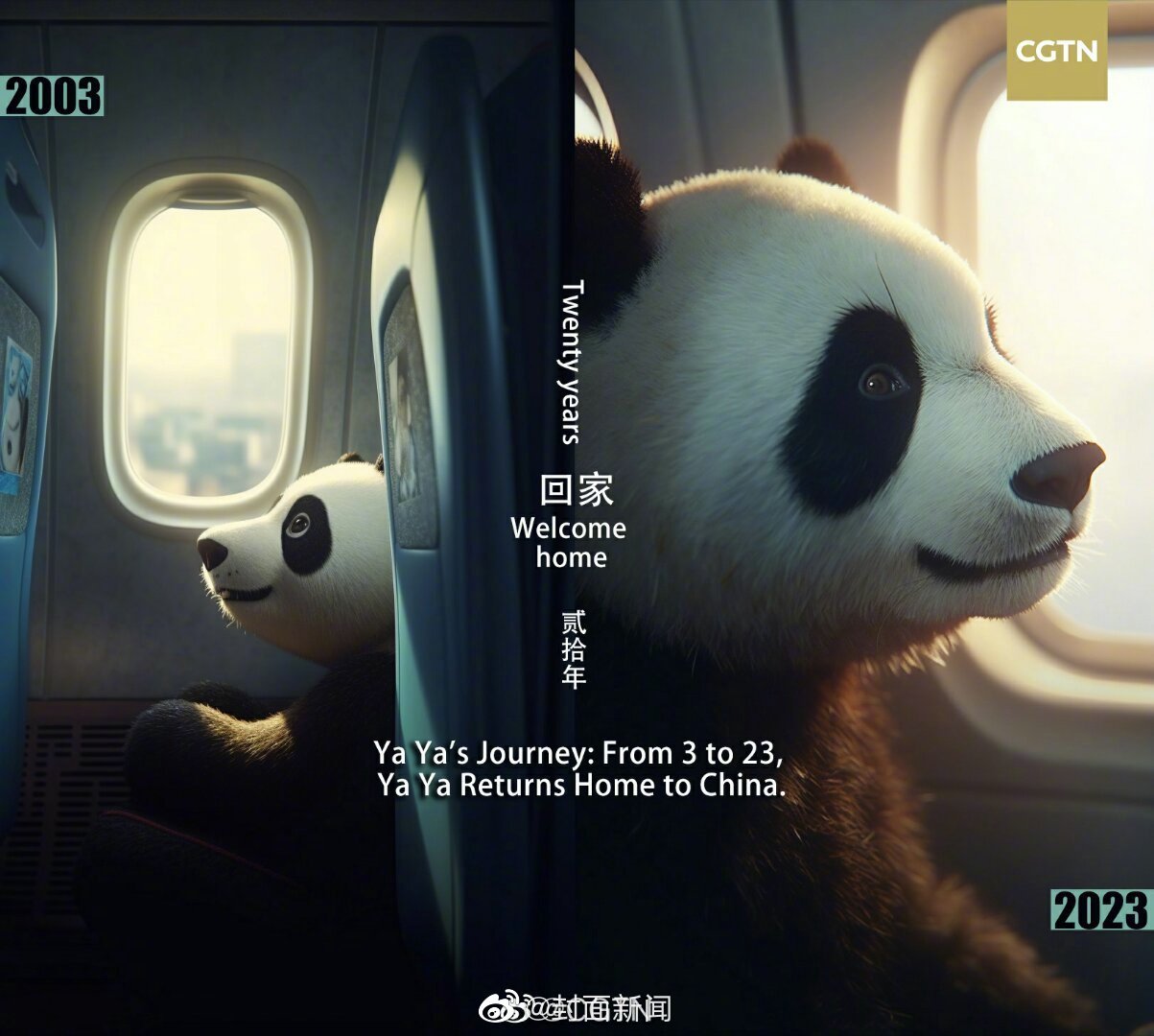 欢迎回家！丫丫回国航线是熊猫趴在飞机上休闲区蓝鸢梦想 - Www.slyday.coM