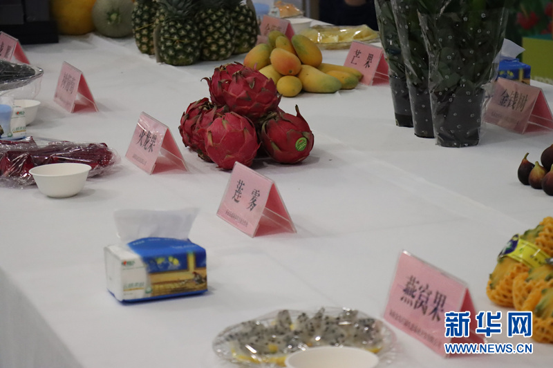 乐东特色热带农作物展示。新华网发(魏晓宇摄)