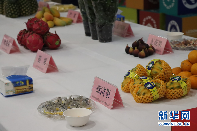 乐东特色热带农作物展示。新华网发(魏晓宇摄)