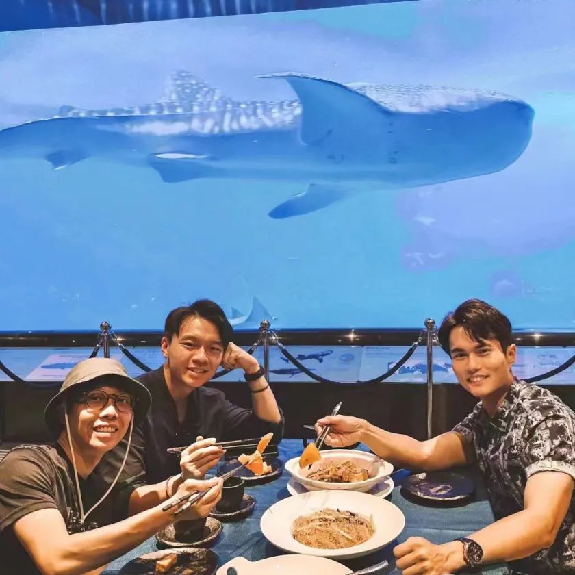 马来西亚景区视频 7fdb-ede2bb979a60bf3791e9f458d4138a61.jpg