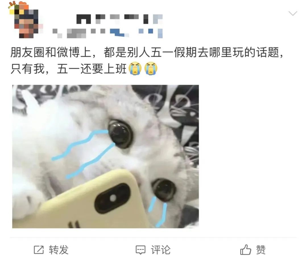 怎样在ins上找朋友 8a1f-e55280780cf8d6e9a16e0fe5b09e0efb.jpg