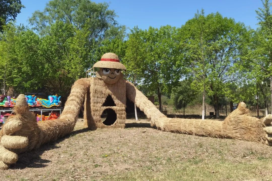 “五一”去哪儿②｜这份出游攻略请您收好~