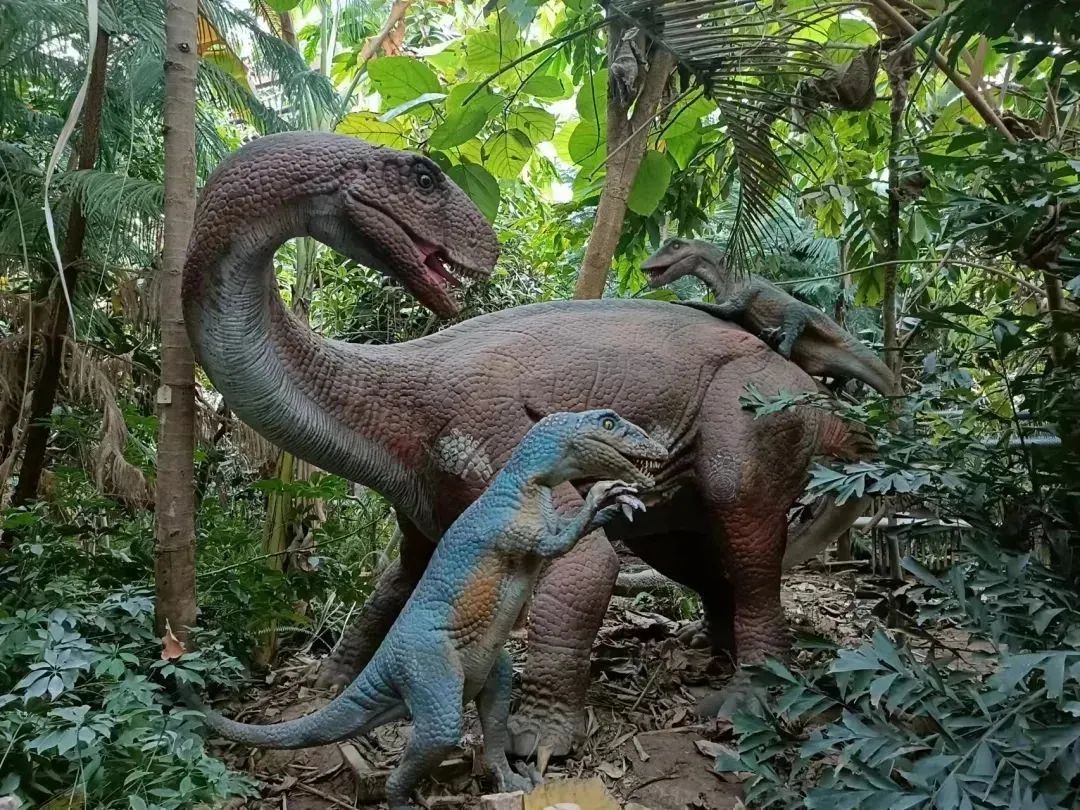 北京呀路古游园攻略|热带观光、非遗木鼓、民族表演!拒绝人山人海,才叫真度假!