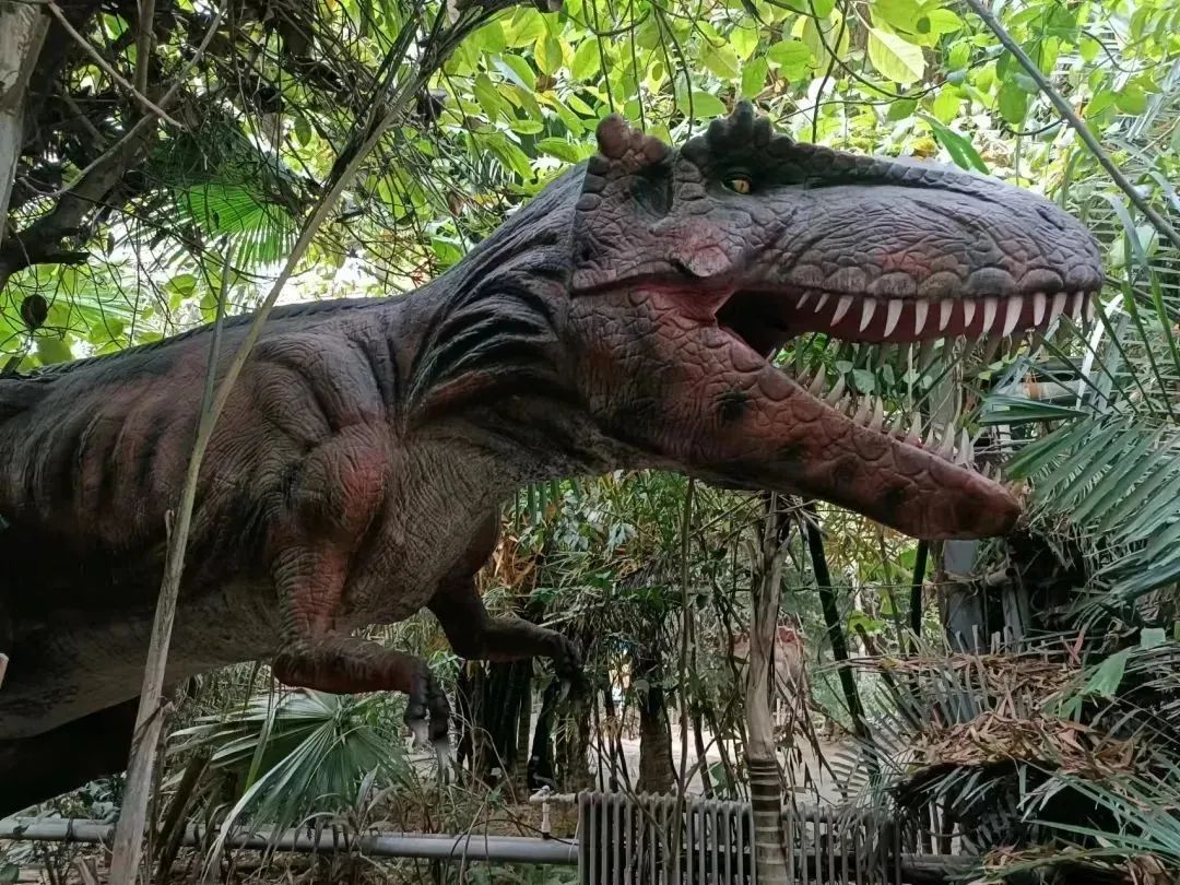 北京呀路古游园攻略|热带观光、非遗木鼓、民族表演!拒绝人山人海,才叫真度假!