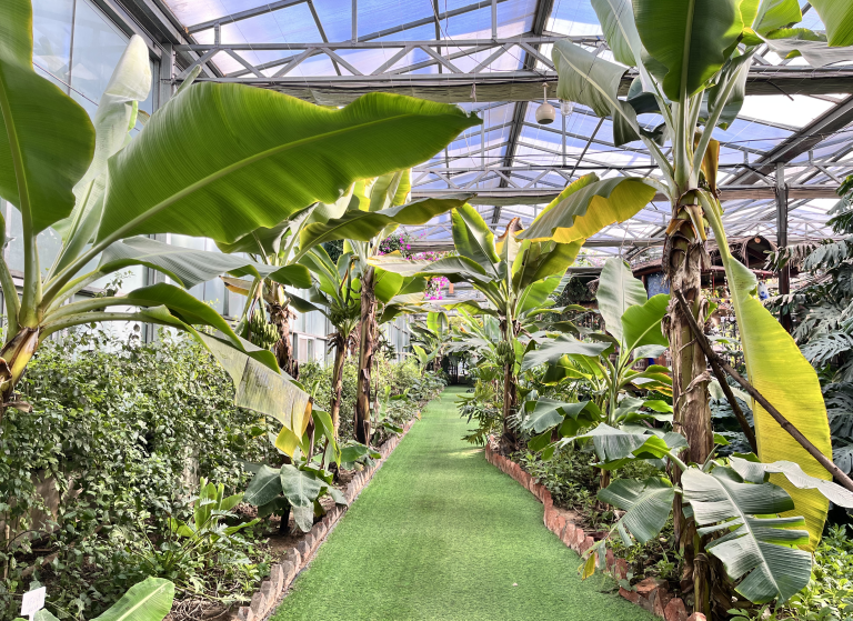 北京呀路古游园攻略|热带观光、非遗木鼓、民族表演!拒绝人山人海,才叫真度假!