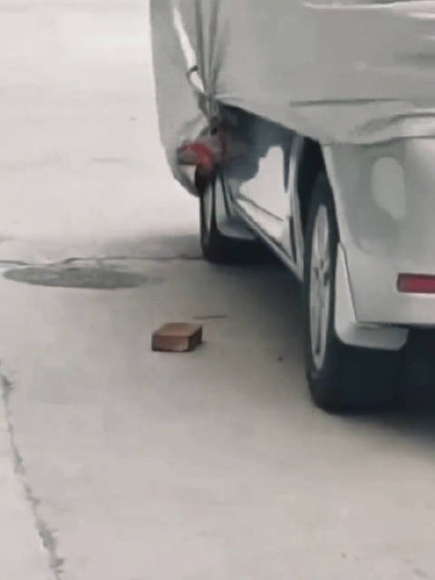 明明可以没啥事，这么盖车衣反而起了反作用了……