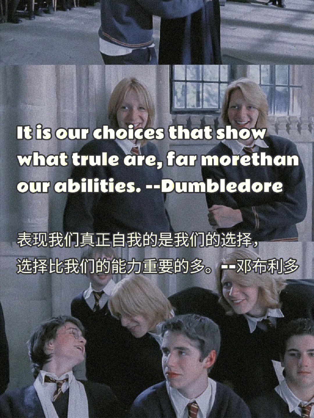 氪金狗眼:真能看到人看不见的脏东西?为何深夜狗对着...