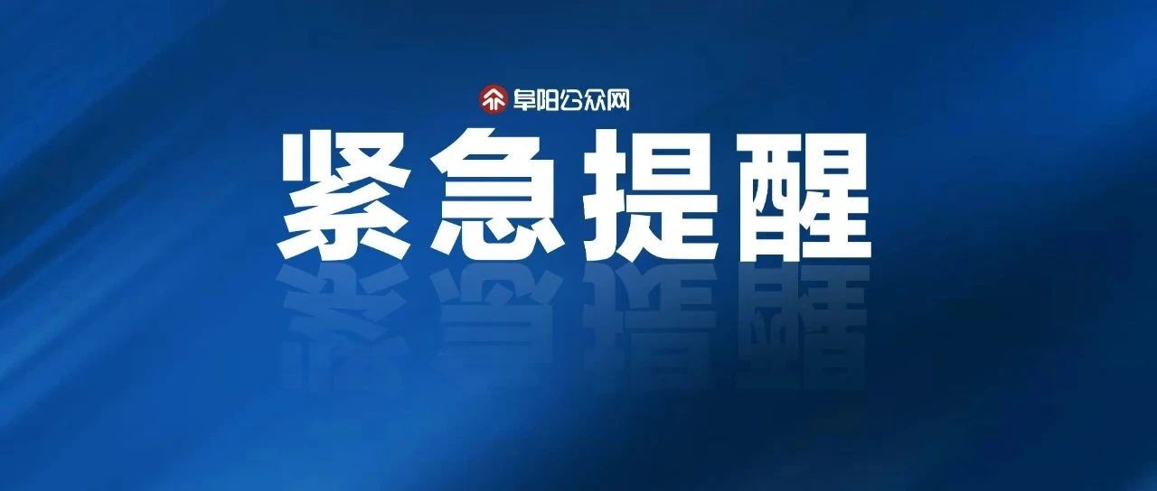 紧急通知!WhatsApp更新失败