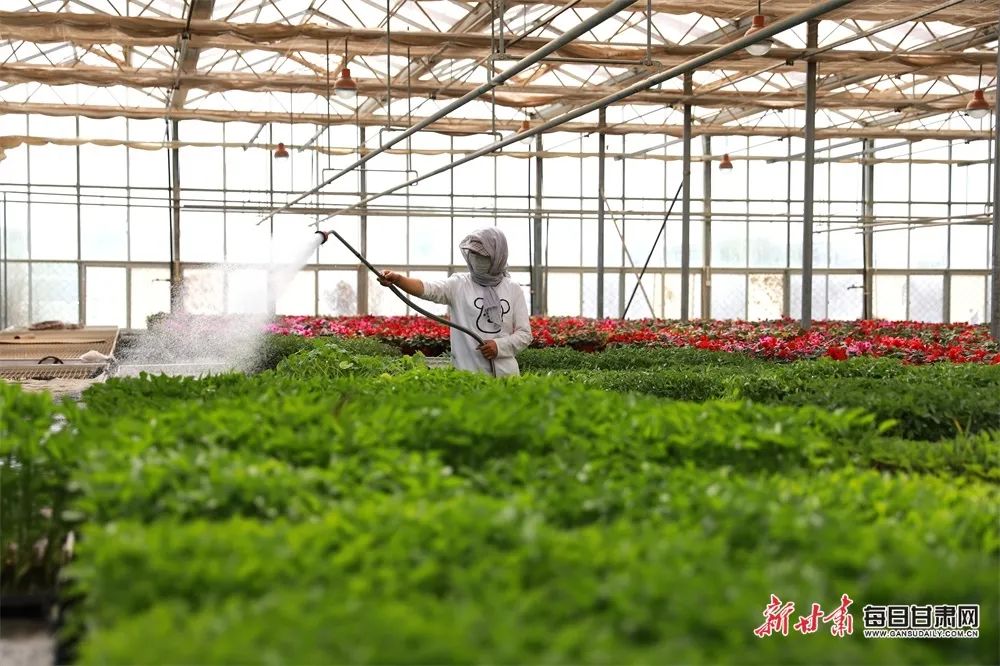 来源：新甘肃客户端