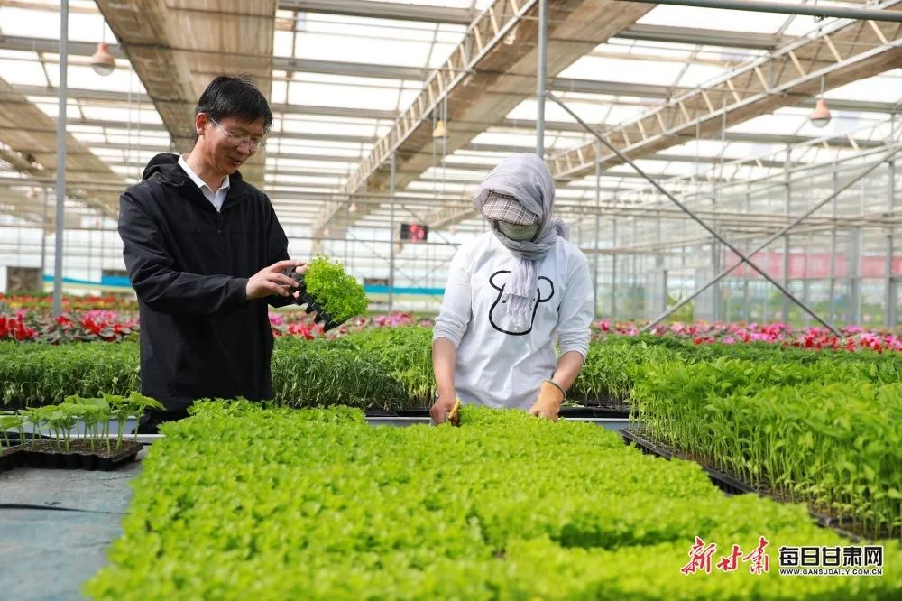 来源：新甘肃客户端