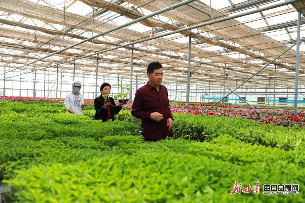 来源：新甘肃客户端